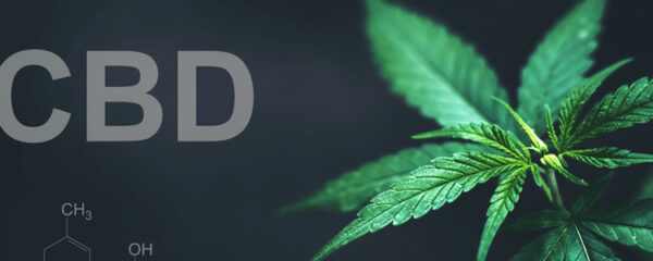 Cbd france