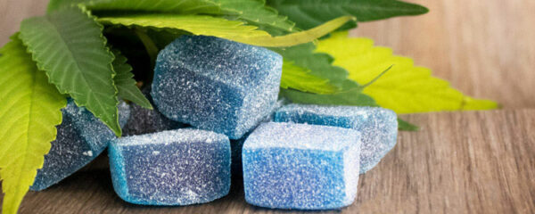 Gummies au CBD